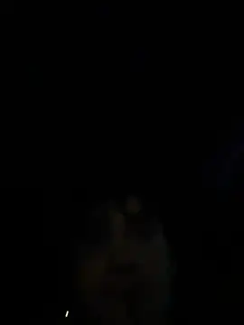 Teddy4420