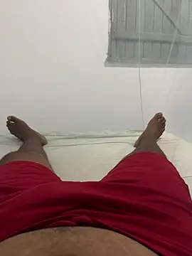 GordoSafadinho