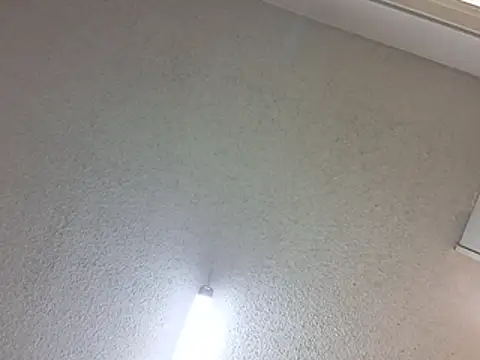 freakzmexx