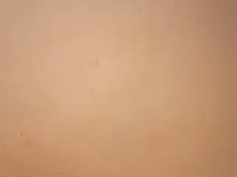 Sinful_shadow live cam on StripChat