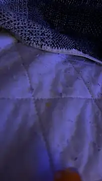 Arca3030 live cam on StripChat