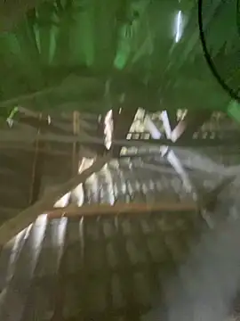 Hoa1a