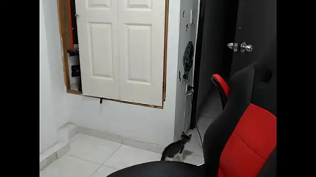 Hiso_kai live cam