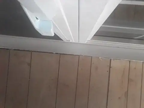 Bulbasaurisme in diretta in cam