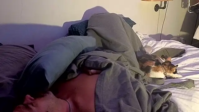 badboybrad11 live cam on StripChat