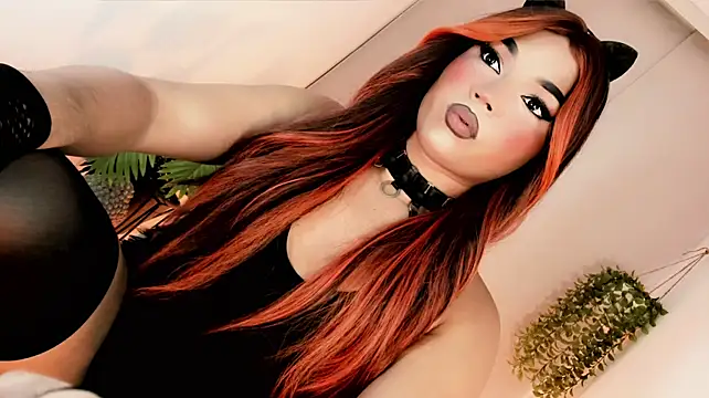 misstreslatin live cam on StripChat