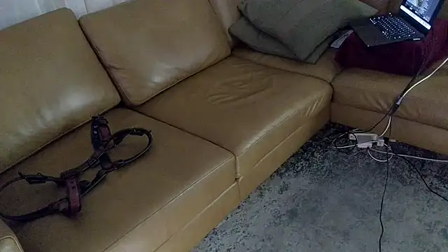 DressSock_Shoe