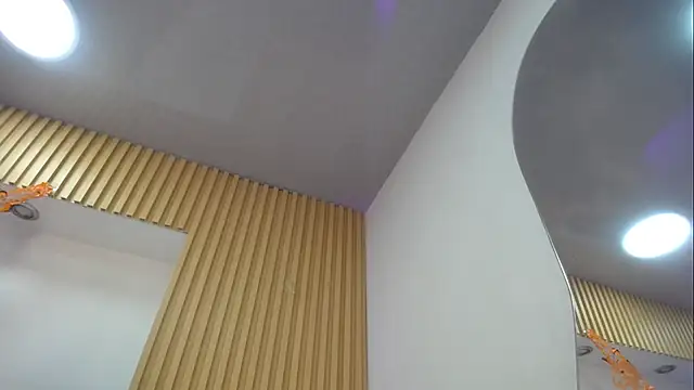 1Sloppy_Fox4