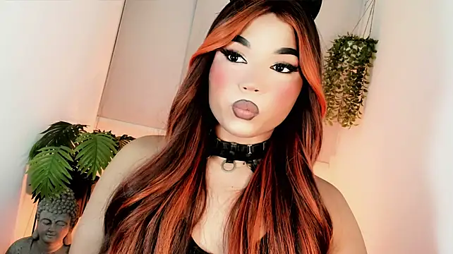 misstreslatin