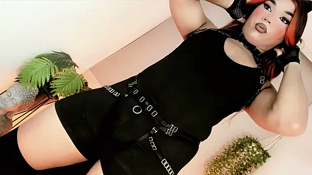 misstreslatin live cam on StripChat