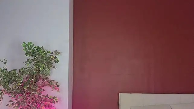 StellaBloomm