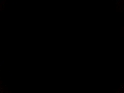 NinfomanoLOGAN webcam