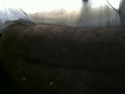 Ebonybb live cam on StripChat