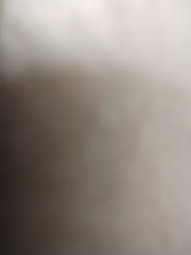 GhostBulletRaja