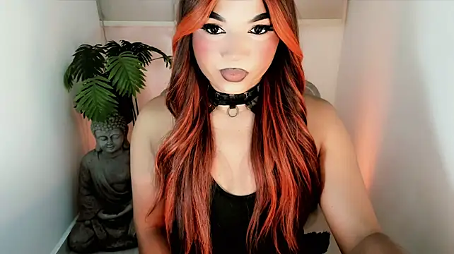 misstreslatin live cam on StripChat