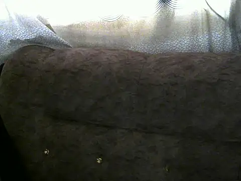 Ebonybb live cam on StripChat