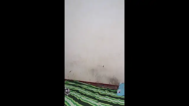 Wild-Dreams live sex cam