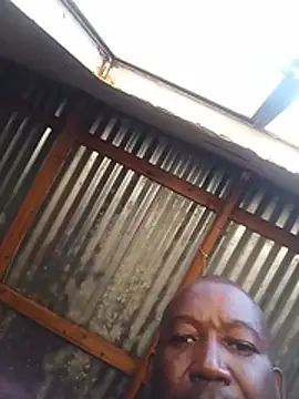 WiseDi webcam