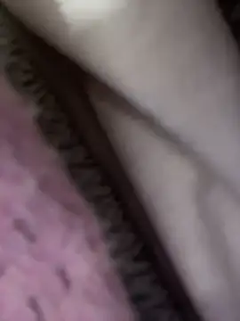 DollyTall webcam