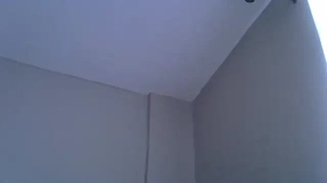 Aurora_starrr