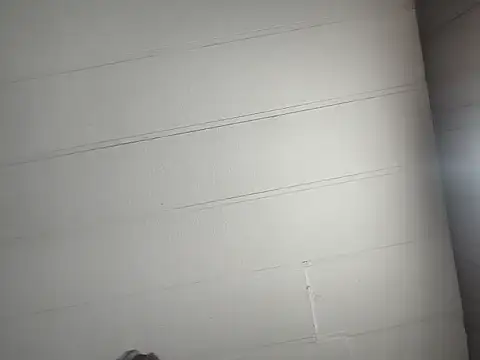 tattedrebel36 live cam on StripChat