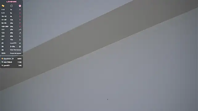 EngelCoyner webcam
