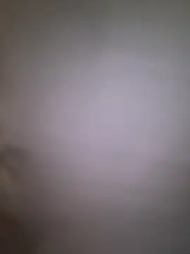 dalou3a22 webcam