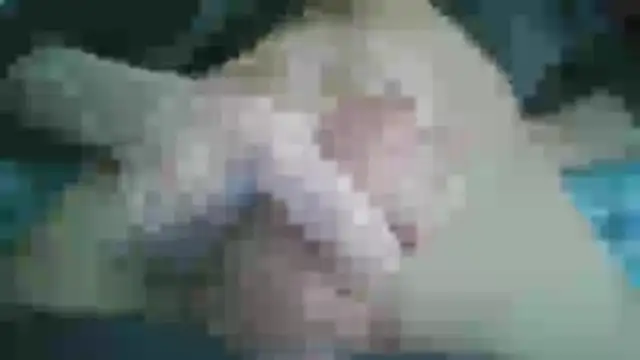 _Nofac3_ live cam on StripChat