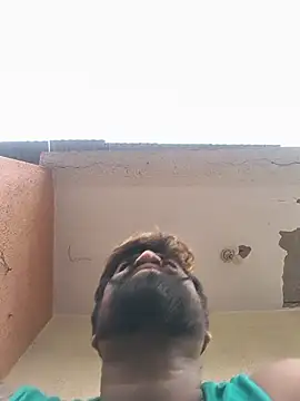 bigdog_ds