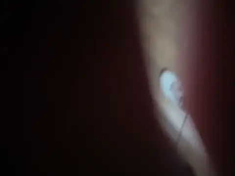 pinkgirls18 (Ask my age) - pantalones fuera y preparacion anal