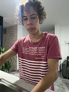 grey___27 webcam