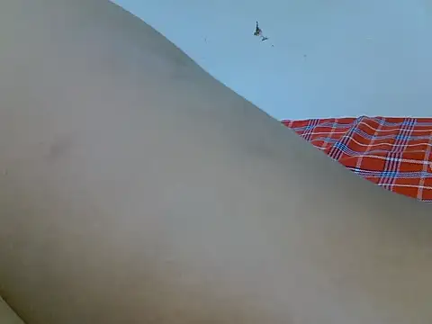 Swt_vixen