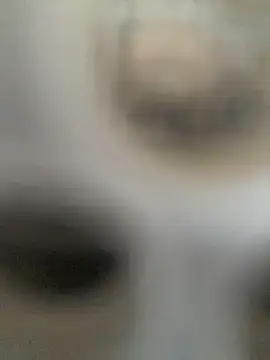 lolitaloira2 (F milf) - #anal #big-ass #big-clit #big-nipples #big-tits #blowjob #brazilian #cam2cam #cheap-privates #cooking #cowgirl #doggy-style #erotic-dance #foot-fetish #gape #handy #hd #jerk-off-instruction #massage #masturbation #mobile #piercings #portuguese-speaking #recordable-privates #recordable-publics #sex-toys #shower #smoking #squirt #titty-fuck #upskirt #anal #anal-blondes #anal-doggy-style #anal-latin #anal-masturbation #anal-milfs #big-ass #big-ass-anal #big-ass-big-tits #big-ass-doggy-style #big-ass-latin #big-ass-milfs #big-clit #big-nipples #big-nipples-milfs #big-tits #big-tits-anal #big-tits-blondes #big-tits-blowjob #big-tits-doggy-style #big-tits-latin #big-tits-milfs #big-tits-titty-fuck #blondes #blondes-blowjob #blondes-milfs #blowjob #blowjob-milfs #brazilian #cam2cam #cheap-privates #cheap-privates-latin #cheap-privates-milfs #cooking #cowgirl #doggy-style #erotic-dance #foot-fetish #foot-fetish-milfs #gape #gym-babe #handy #hd #jerk-off-instruction #latin #latin-blowjob #latin-doggy-style #latin-foot-fetish #latin-masturbation #latin-milfs #massage #masturbation #medium #medium-hair #milfs #mobile #mobile-milfs #moderately-priced-cam2cam #piercings #piercings-latin #piercings-milfs #portuguese-speaking #recordable-privates #recordable-privates-milfs #recordable-publics #sex-toys #shower #smoking #squirt #squirt-latin #squirt-milfs #titty-fuck #upskirt