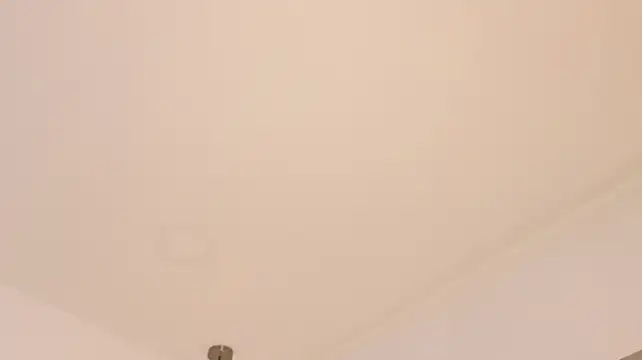 モデル: Nioki_