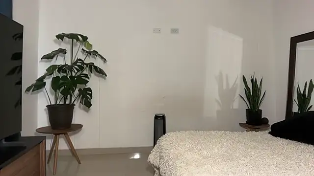 Noah_and_Steven webcam