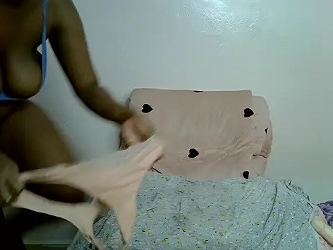 Katt088