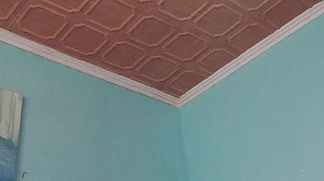 Prxscillia_Tx live cam