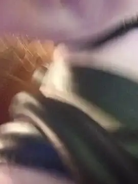nakedgarbagepersonさんのライブチャット