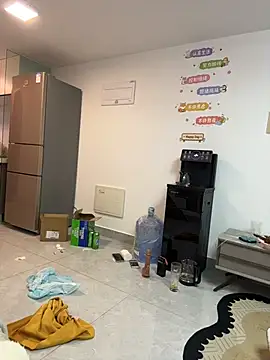 xianyu-ss webcam