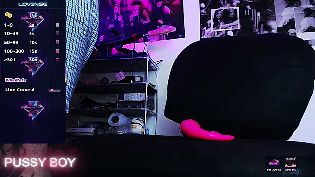 princeFtm live cam