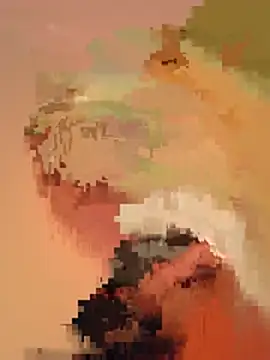 S-joy live cam on StripChat