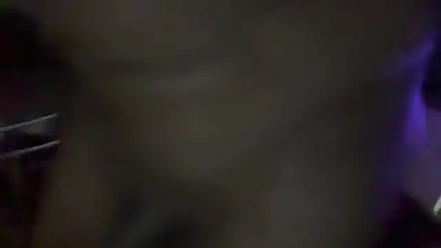 duckmeallday live cam