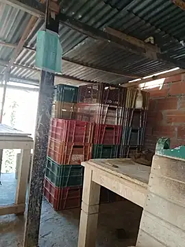 flaco_vergoon live cam