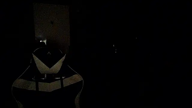 RyanStorm_ live cam
