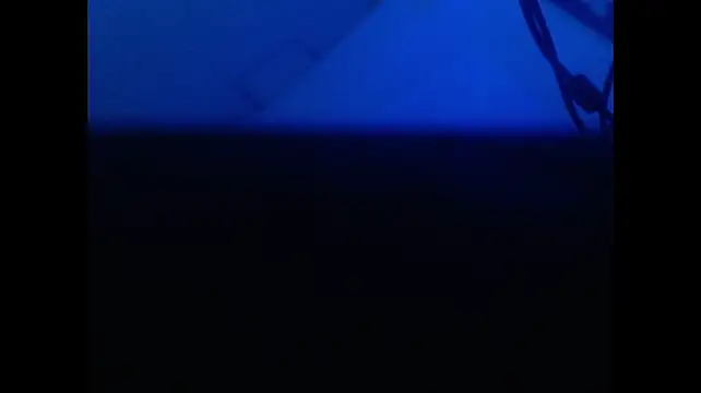 Hilary_tsx