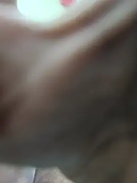 Bartolofive