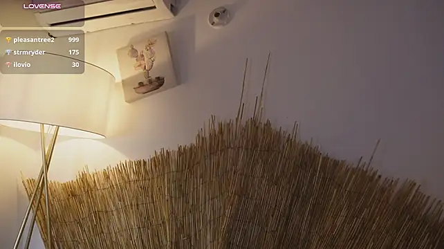 bunnycuteshy live cam on StripChat
