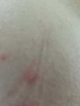 Yasmina_Noir