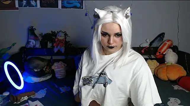 kotik_meow