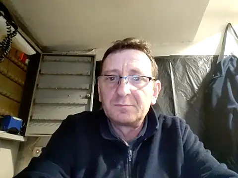 tilkiselim